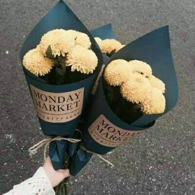 三亿体育app平台